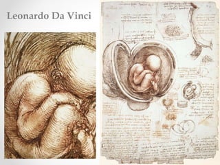 Leonardo Da Vinci
 