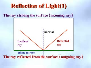 Reflection of Light(1)
Reflection of Light(1)
i r
Incident
ray
normal
plane mirror
( )
The ray striking the surface incoming ray
( )
The ray reflected fromthe surface outgoing ray
Reflected
ray
 