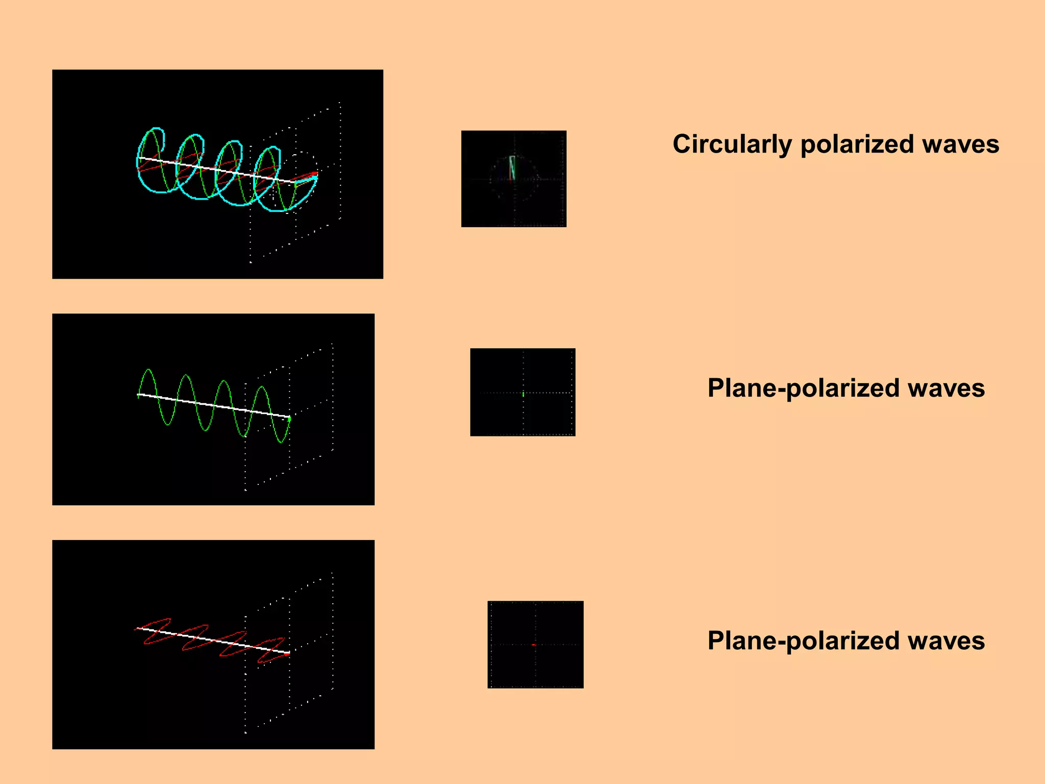 Plane-polarized waves
Plane-polarized waves
Circularly polarized waves
 