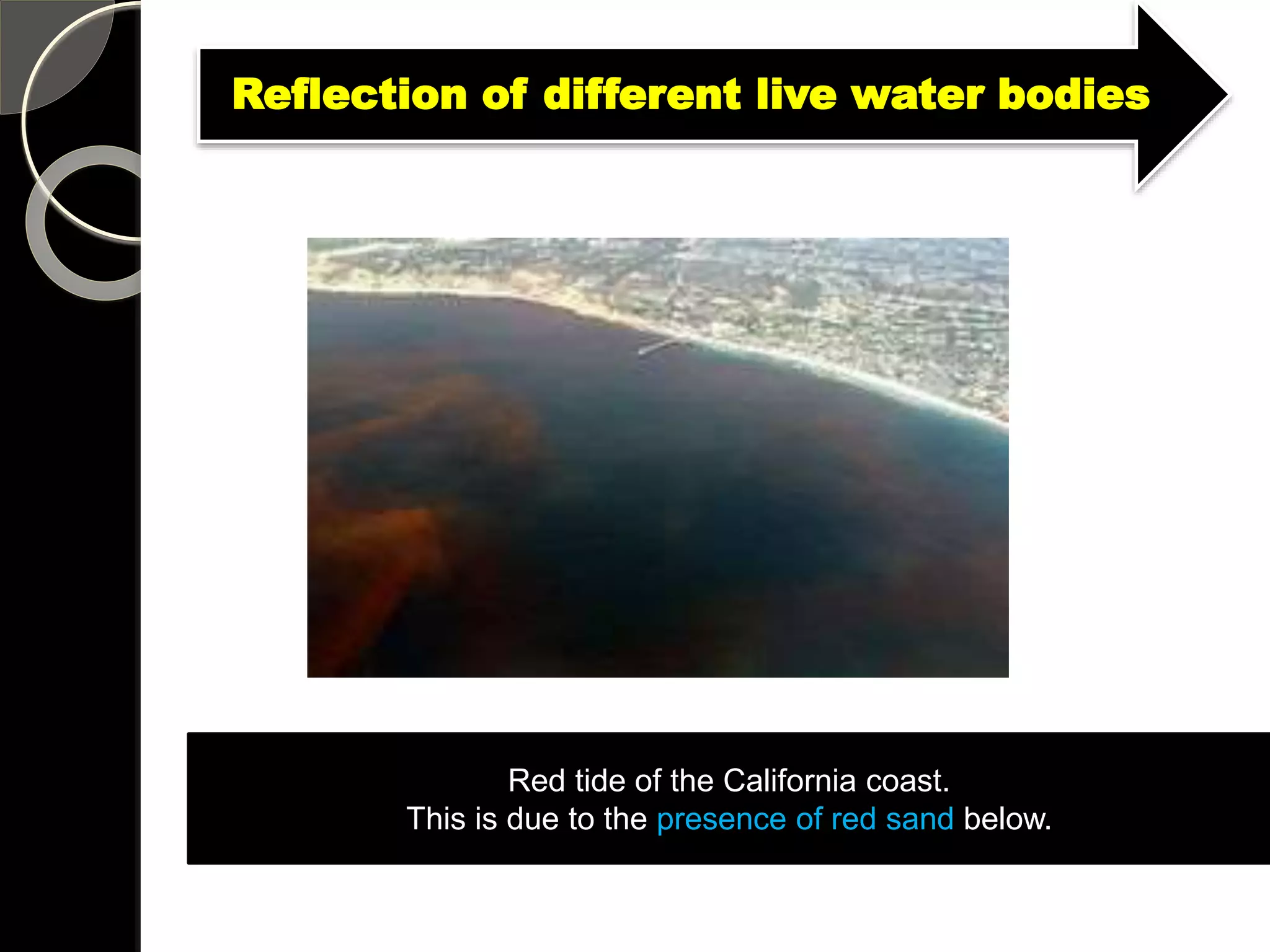 Red tide of the California coast.
This is due to the presence of red sand below.
Reflection of different live water bodies
 