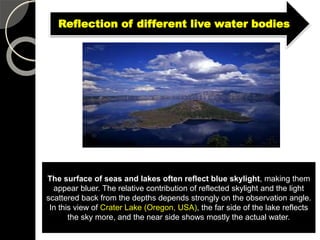 Reflection View Reflection of water bodies | PPTX