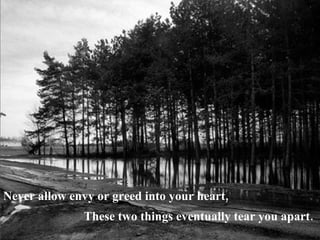 <ul><li>Never allow envy or greed into your heart, </li></ul><ul><li>These two things eventually tear you apart .   </li><...