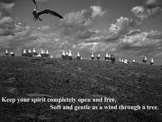 <ul><li>Keep your spirit completely open and free, </li></ul><ul><li>Soft and gentle as a wind through a tree.   </li></ul>