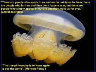 " There are people who speak to us and we do not listen to them; there are people who hurt us and they don’t leave a scar, but there are people who simply appear in our life and they mark us for ever.”  (Cecília Meireles)    “ The true philosophy is to learn again to see the world”.  (Merleau-Ponty ) 
