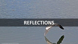 REFLECTIONS
cc: archer10 (Dennis) (51M Views) - https://www.flickr.com/photos/22490717@N02
 