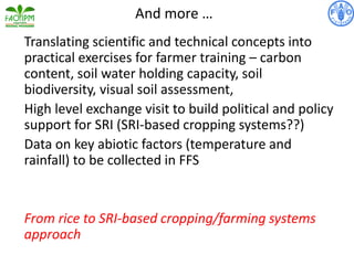 Translating scientific and technical concepts into
practical exercises for farmer training – carbon
content, soil water holding capacity, soil
biodiversity, visual soil assessment,
High level exchange visit to build political and policy
support for SRI (SRI-based cropping systems??)
Data on key abiotic factors (temperature and
rainfall) to be collected in FFS
From rice to SRI-based cropping/farming systems
approach
And more …
 