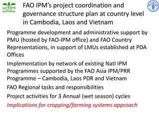 Programme development and administrative support by
PMU (hosted by FAO-IPM office) and FAO Country
Representations, in support of LMUs established at PDA
Offices
Implementation by network of existing Natl IPM
Programmes supported by the FAO Asia IPM/PRR
Programme – Cambodia, Laos PDR and Vietnam
FAO Regional tasks and responsibilities
Project activities for 3 Annual (wet season) cycles
Implications for cropping/farming systems approach
FAO IPM’s project coordination and
governance structure plan at country level
in Cambodia, Laos and Vietnam
 
