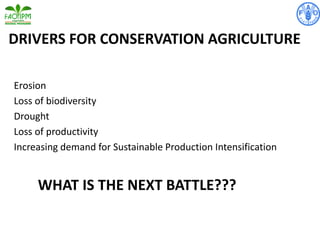 DRIVERS FOR CONSERVATION AGRICULTURE
Erosion
Loss of biodiversity
Drought
Loss of productivity
Increasing demand for Sustainable Production Intensification
WHAT IS THE NEXT BATTLE???
 