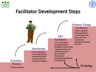 Facilitator Development Steps
Extension
Worker
Non-formal
Extensionist
FFS
Facilitator
Farmers’ Group
Facilitator
•follows-up field
school graduates
•coordinates inter-
group activities
•encourages
farming community
activities
•encourages group
learning activities
•uses non-formal
training techniques
•teaches farmers
Training
•uses experiential
learning methods
•facilitates farmer field
experimentation and
ecological analysis
•gives holistic
education in
sustainable production
intensification
 