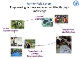 Farmer Field School:
Empowering farmers and communities through
knowledge
Concrete
Experience
Observation
and Reflection
Generalisation &
Abstract
Conceptualisation
Active
Experimentation
 