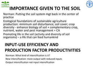 IMPORTANCE GIVEN TO THE SOIL
Norman: Putting the soil system mgt back in the center of
practice
Ecological foundations of sustainable agriculture
production: minimum soil disturbance; soil cover; crop
diversity - enhance biology of soil + complementary crop,
nutrient, water and pest management = CA
Promoting life in the soil (activity and diversity of soil
organisms) – a life that can feed humankind
INPUT-USE EFFICIENCY AND
PRODUCTION FACTOR PRODUCTIVITIES
Norman: What kind of intensification is it?
New intensification: more output with reduced inputs
Output intensification not input intensification
 