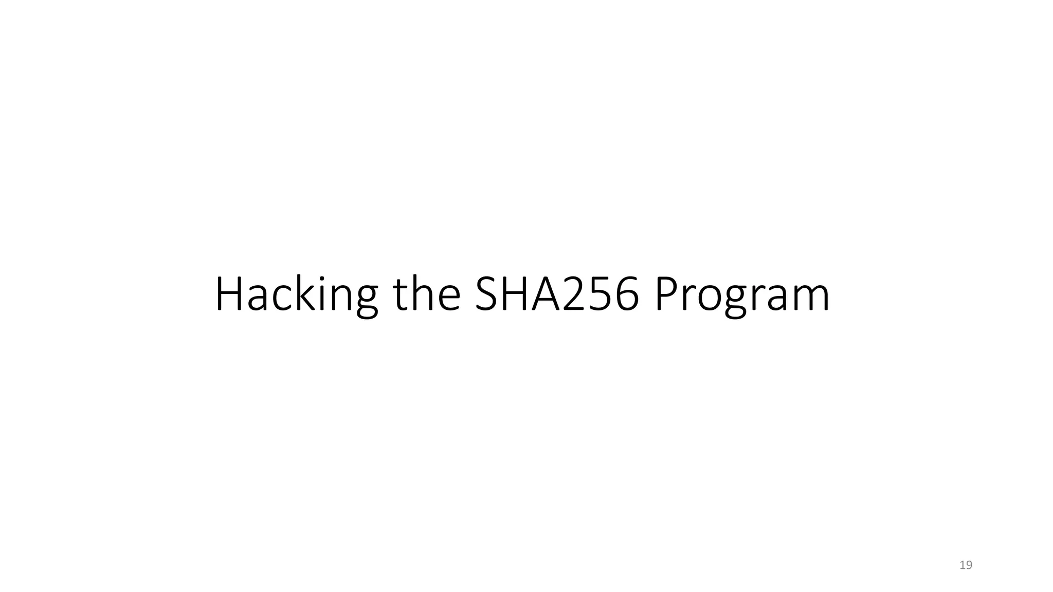 19
Hacking the SHA256 Program
 