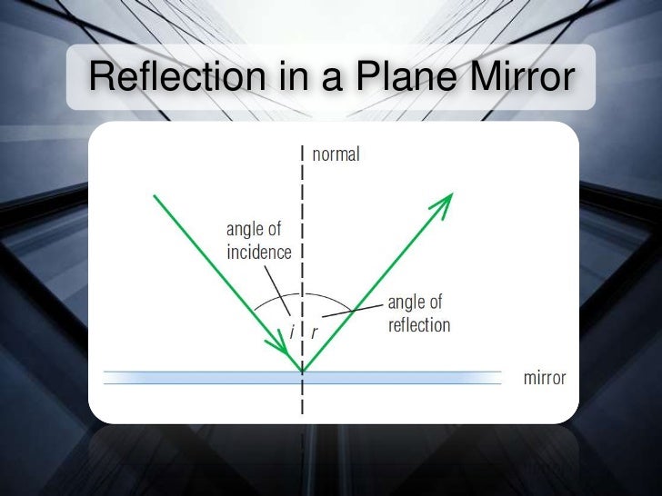 Reflections in a Plane Mirror
