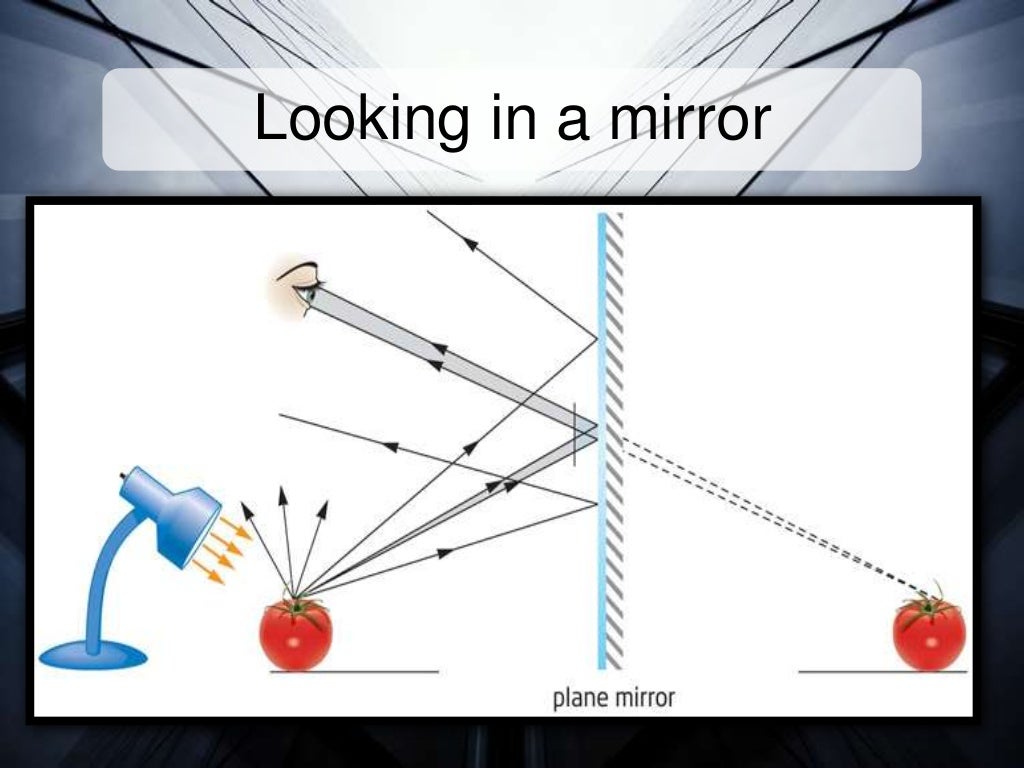 Reflections in a Plane Mirror