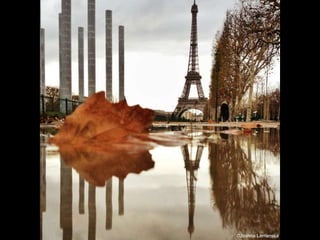 Reflections of París- Photographer Joanna Lemanska