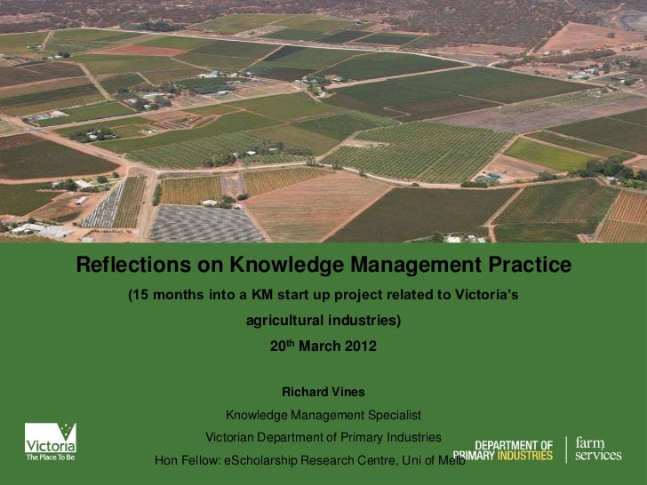 knowledge management essay