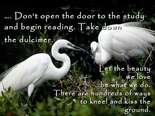… . Don't open the door to the study and begin reading. Take down  the dulcimer. Let the beauty we love be what we do. There are hundreds of ways  to kneel and kiss the ground. Mevlana Jelaluddin Rumi (1207 - 1273)  
