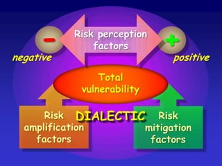 -
negative
           Risk perception
               factors       +
                             positive
               ...
