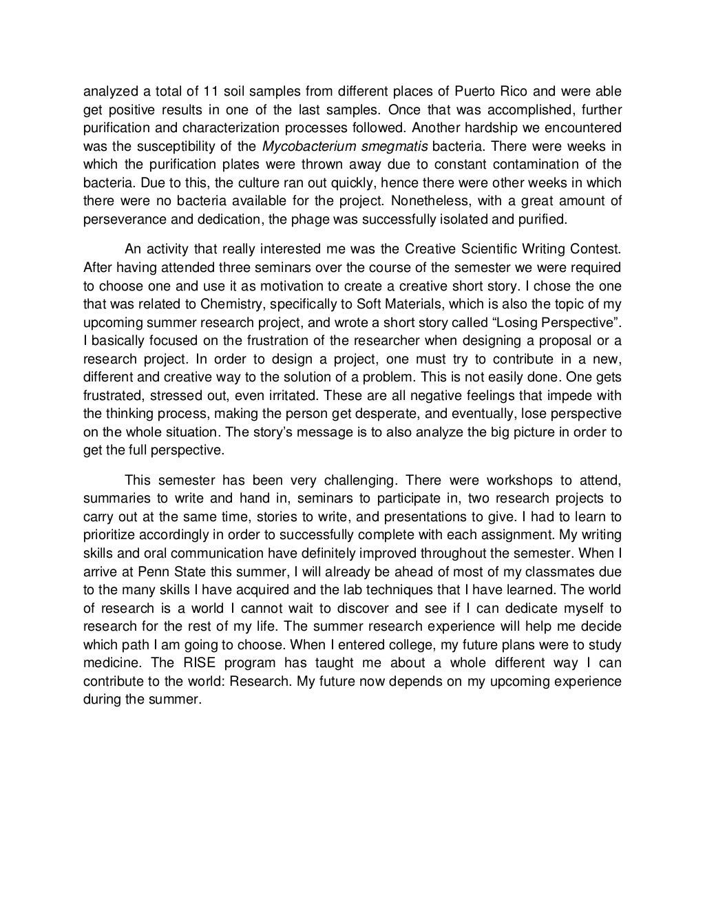 Reflective essay als image