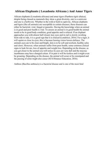 African Elephants ( Loxadonta Africana ) And Amur Tigers
African elephants (Loxadonta africana) and amur tigers (Panthera tigris altaica),
despite being classed as mammals they show a great diversity, one is a carnivore
and one is a herbivore. Whether in the wild or held in captivity, African elephants
and tigers (like all animals) are susceptible to certain diseases, these diseases can
either be bacterial, viral, fungal or parasitic. Having the knowledge when an animal
is in good and poor health is vital. To ensure an animal is in good health the animal
needs to be in good body condition, good appetite and is relaxed. If an elephant
approaches you with almost half closed, lazy eyes and its tail is slowly swishing
from side to side, it is a good sign that it is relaxed (Londolozi, 2016). For a tiger, it
will squint or close its eyes; this is because loosing vision lowers defence. The
animals eyes are to be clear and bright, skin is to be soft and resilient, healthy soles
and claws. However, when animals suffer from poor health, some common clinical
signs to look for are, loss of appetite and weight loss. Depending on the disease, as
you get closer to the animal you will notice its eyes are very dull and the mucous
membranes may have changed colour. If in pain it will be restless and it might even
be groaning. Depending on the disease, the animal will scour or be constipated and
the passing of urine might also cease (ACS Distance Education, 2016).
Anthrax (Bacillus anthracis) is a bacterial disease and is one of the most fatal
 