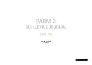 FARM 3
REFLECTIVE JOURNAL
DAB 710
 