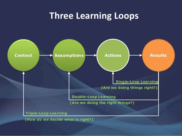 Single-loop and double-loop models in research on decision making