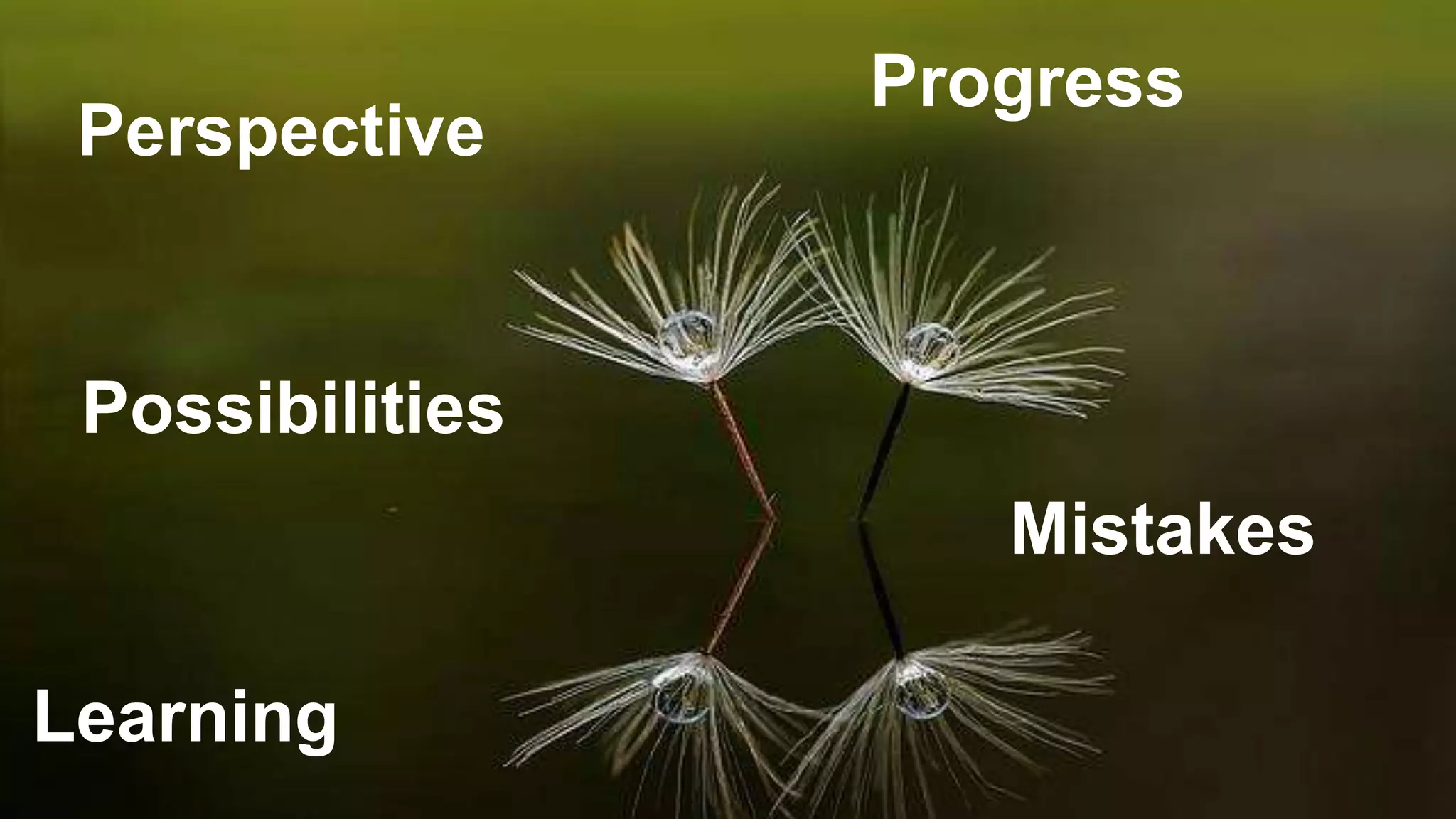 Progress
Perspective
Learning
Possibilities
Mistakes
 
