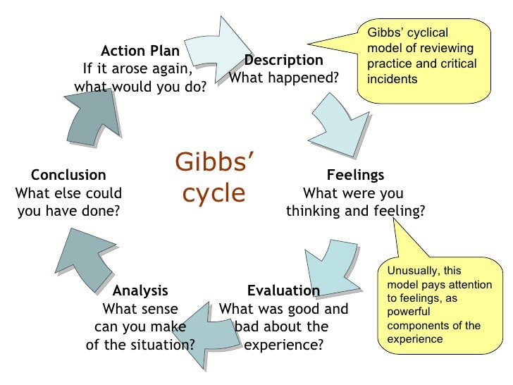 Essays gibbs reflective model