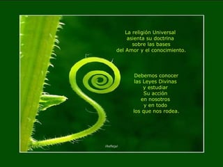 La religión Universal  asienta su doctrina  sobre las bases del Amor y el conocimiento. Debemos conocer las Leyes Divinas  y estudiar  Su acción  en nosotros  y en todo  los que nos rodea. ¡Refleja! 