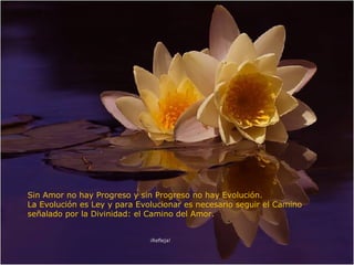 ¡Refleja! Sin Amor no hay Progreso y sin Progreso no hay Evolución. La Evolución es Ley y para Evolucionar es necesario seguir el Camino señalado por la Divinidad: el Camino del Amor. 