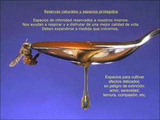 Reservas naturales y espacios protegidos Espacios de intimidad reservados a nosotros mismos. Nos ayudan a respirar y a disfrutar de una mejor calidad de vida. Deben expandirse a medida que crecemos.  Espacios para cultivar afectos delicados  en peligro de extinción: amor, serenidad, ternura, compasión, etc. 