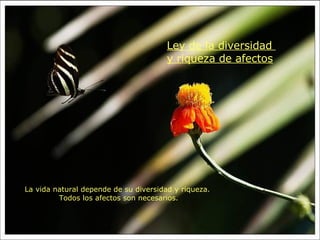 La vida natural depende de su diversidad y riqueza.  Todos los afectos son necesarios. Ley de la diversidad  y riqueza de afectos 