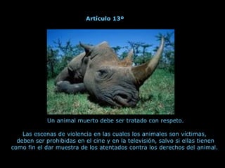 Un animal muerto debe ser tratado con respeto.
Las escenas de violencia en las cuales los animales son víctimas,
deben ser prohibidas en el cine y en la televisión, salvo si ellas tienen
como fin el dar muestra de los atentados contra los derechos del animal.
Artículo 13º
 