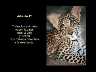 Todos los animales
nacen iguales
ante la vida
y tienen
los mismos derechos
a la existencia.
Artículo 1º
 