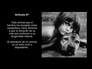 Todo animal que el hombre ha escogido como compañero, tiene derecho a que la duración de su vida sea conforme a su longevidad natural. El abandono de un animal es un acto cruel y degradante.   Artículo 6º 