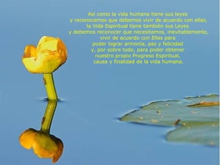 Así como la vida humana tiene sus leyes  y reconocemos que debemos vivir de acuerdo con ellas, la Vida Espiritual tiene también sus Leyes  y debemos reconocer que necesitamos, inevitablemente, vivir de acuerdo con Ellas para  poder lograr armonía, paz y felicidad  y, por sobre todo, para poder obtener  nuestro propio Progreso Espiritual,  causa y finalidad de la vida humana. 