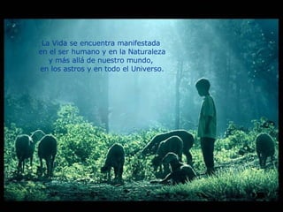 La Vida se encuentra manifestada  en el ser humano y en la Naturaleza y más allá de nuestro mundo,  en los astros y en todo el Universo. 