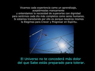 Vivamos cada experiencia como un aprendizaje,  aceptémoslas mansamente  y entendamos la necesidad de superarlas con dignidad  para sentirnos cada día más completos como seres humanos.  Si estamos transitando por ello es porque nosotros mismos lo Elegimos para Crecer y Progresar en Espíritu. El Universo no te concederá más dolor  del que Sabe estás preparado para tolerar. 