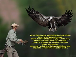 Amo minha loucura que me liberta da estupidez. Amo o amor que me imuniza, diante da infelicidade que viaja por onde quer, infectando almas e atrofiando corações. O AMOR é, à nivel sutil, a essência do nosso  estado imunológico.  Sem amor, a síndrome da imunodeficiência será adquirida  inevitavelmente e ela é mortal. 