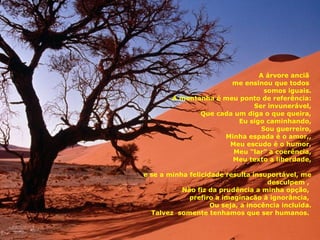 A árvore anciã  me ensinou que todos  somos iguais. A montanha é meu ponto de referência: Ser invunerável, Que cada um diga o que queira, Eu sigo caminhando, Sou guerreiro, Minha espada é o amor,, Meu escudo é o humor, Meu “lar” a coerência, Meu texto a liberdade, e se a minha felicidade resulta insuportável, me desculpem ,  Não fiz da prudência a minha opção,  prefiro a imaginacão à ignorância,  Ou seja, a inocência incluida. Talvez  somente tenhamos que ser humanos.  