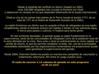 Desde el estallido del conflicto en Darfur (Sudán) en 2003,  unos 230.000 refugiados han cruzado la frontera con Chad  y sobreviven en campos en los que dependen totalmente de la ayuda internacional. Chad es uno de los países más pobres de la Tierra (ocupa el puesto 171º, de un total de 177, en el Índice de Desarrollo Humano de la ONU).  La región fronteriza con Darfur que ha acogido el flujo de refugiados es una región empobrecida, donde el desierto avanza con rapidez y donde no hay suficiente agua, ni tierra para pastos y cultivos, ni madera para tanta gente.  En ese ambiente desolador, el ganado juega un papel fundamental en la supervivencia, tanto de las comunidades de refugiados como de la población local de la zona afectada por la crisis. Para unos y otros es prácticamente su único capital, su cartilla de ahorro, lo que les permite completar la dieta. Así, una de la principales necesidades detectadas por las organizaciones humanitarias era proporcionar ayuda para garantizar la supervivencia del ganado.  Desde 2004,  Intermón-Oxfam  ha puesto en marcha tres campañas de vacunación y tratamiento veterinario. Ahí entra en juego nuestro euro.  El coste de vacunar a 14 cabezas de ganado en este programa  es de un euro.   