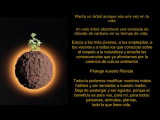 Planta un árbol aunque sea una vez en tu vida. Un solo árbol absorberá una tonelada de dióxido de carbono en su tiempo de vida.  Educa a los más jóvenes, a tus empleados, a tus vecinos y a todos los que conozcas sobre el respeto a la naturaleza y enseña las consecuencias que ya afrontamos por la carencia de cultura ambiental. Protege nuestro Planeta  Todavía podemos modificar nuestros malos hábitos y ser sensibles a nuestro medio.   Deja de postergar y ser egoísta, porque el beneficio es para vos, para mí, para todos: personas, animales, plantas,  todo lo que tiene vida.   