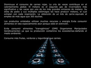 Disminuye el consumo de carnes rojas. La cría de vacas contribuye en el calentamiento global. El metano es el segundo gas de invernadero más significativo y las vacas son uno de los más grandes emisores de metano. Su dieta de pasto y sus múltiples estómagos las hace producir metano, el cual exhalan con cada respiración. La obtención de un kilo de carne equivale al empleo de más agua que 365 duchas. Los productos enlatados utilizan muchos recursos y energía. Evita consumir alimentos en lata especialmente atún porque está en extinción. Evita consumir alimentos "transgénicos" (OMG Organismos Manipulados Genéticamente) ya que su producción contamina los ecosistemas dañando el medio ambiente. Consume más frutas, verduras y legumbres que carnes. 