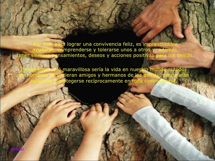 Refleja Vivir En Armonia