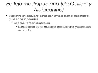 Reflejo mediopubiano (de Guillain y
           Alajouanine)
 Paciente en decúbito dorsal con ambas piernas flexionadas
  y un poco separadas.
    Se percute la sínfisis púbica
       • Contracción de los músculos abdominales y aductores
         del muslo
 