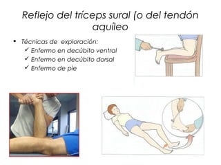 Reflejo del tríceps sural (o del tendón
                  aquíleo
 Técnicas de exploración:
    Enfermo en decúbito ventral
    Enfermo en decúbito dorsal
    Enfermo de pie
 