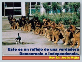 Este es un reflejo de una verdadera
      Democracia e Independencia.
                    Rev. Dr. Jesús Mejía
 