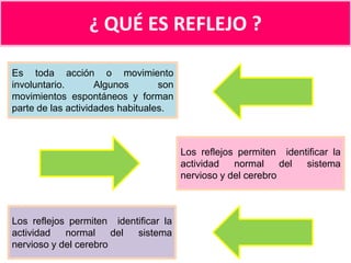 ¿ QUÉ ES REFLEJO ?
Es toda acción o movimiento
involuntario.
Algunos
son
movimientos espontáneos y forman
parte de las actividades habituales.

Los reflejos permiten identificar la
actividad
normal
del
sistema
nervioso y del cerebro

Los reflejos permiten identificar la
actividad
normal
del
sistema
nervioso y del cerebro

 