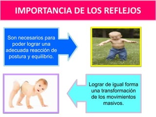 IMPORTANCIA DE LOS REFLEJOS
Son necesarios para
poder lograr una
adecuada reacción de
postura y equilibrio.

Lograr de igual forma
una transformación
de los movimientos
masivos.

 