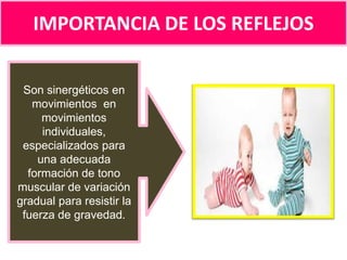 IMPORTANCIA DE LOS REFLEJOS
Son sinergéticos en
movimientos en
movimientos
individuales,
especializados para
una adecuada
formación de tono
muscular de variación
gradual para resistir la
fuerza de gravedad.

 
